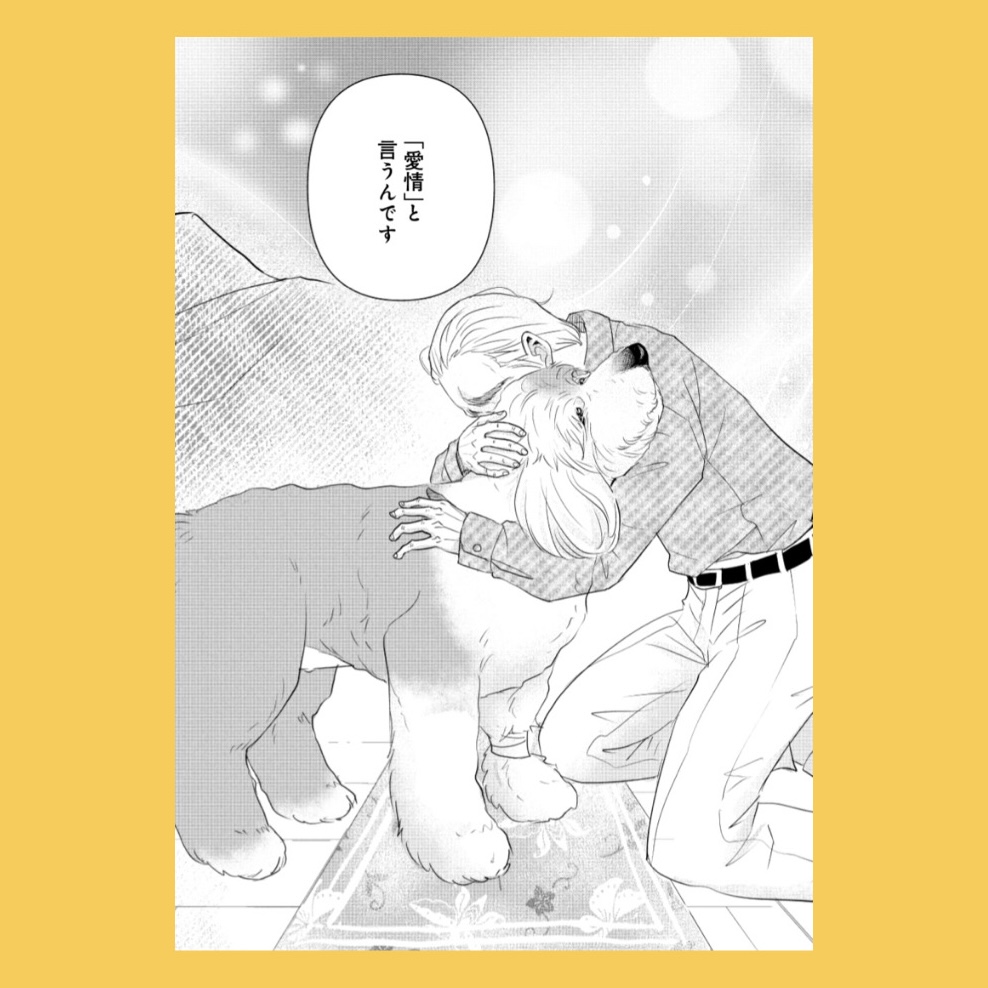 /
#DOGSIGNAL 祝!連載50話突破🎉
エピソード人気投票
\
エピソードNo.37
リボン大病編(単行本12巻50話~51話)
~~~~~~~~
老犬・リボンの定期健診で判明した大変な病気。悩みながら小谷田さんが辿り着いた心境は。
~~~~~~~~