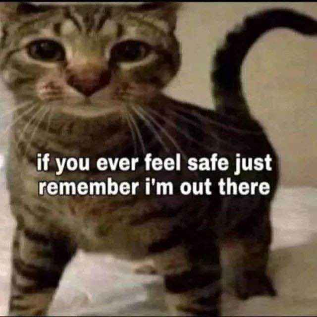 LoaCollie tweet media