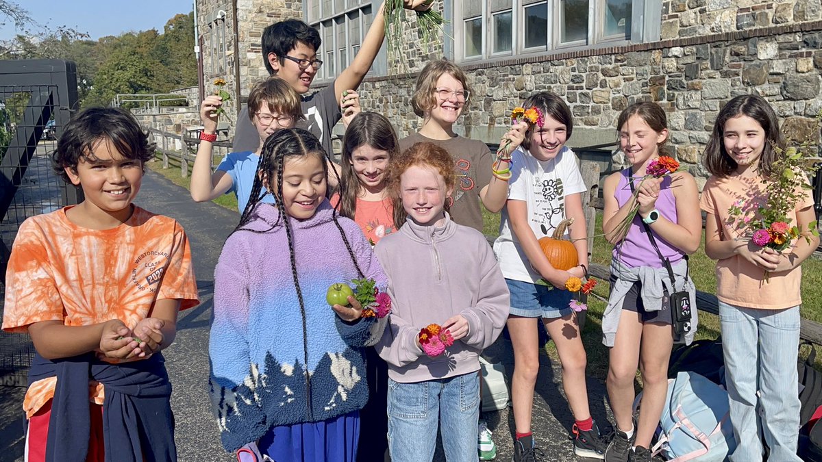 Bell Garden Harvest! The Green Bulldogs harvested flowers, tomatoes, herbs and even a pumpkin! #WeAreChappaqua #BellBulldogs
