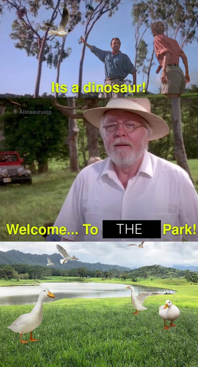 Let's lighten the mood shall we?