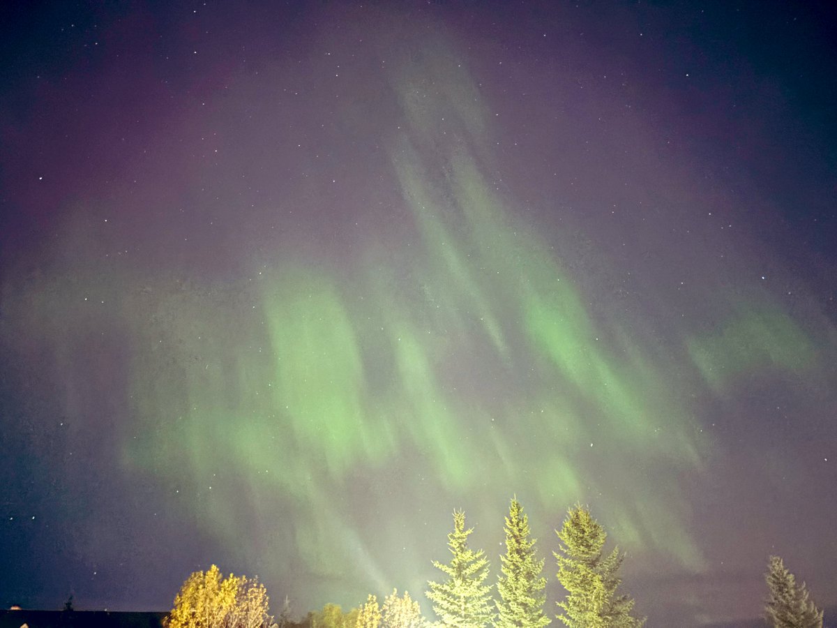 Ms. Lutzmann tweet media