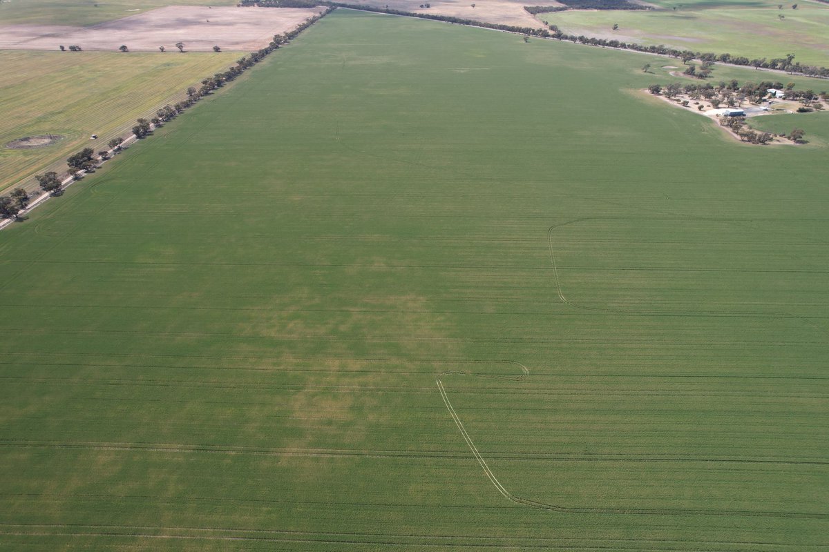 Matt Rohde tweet media