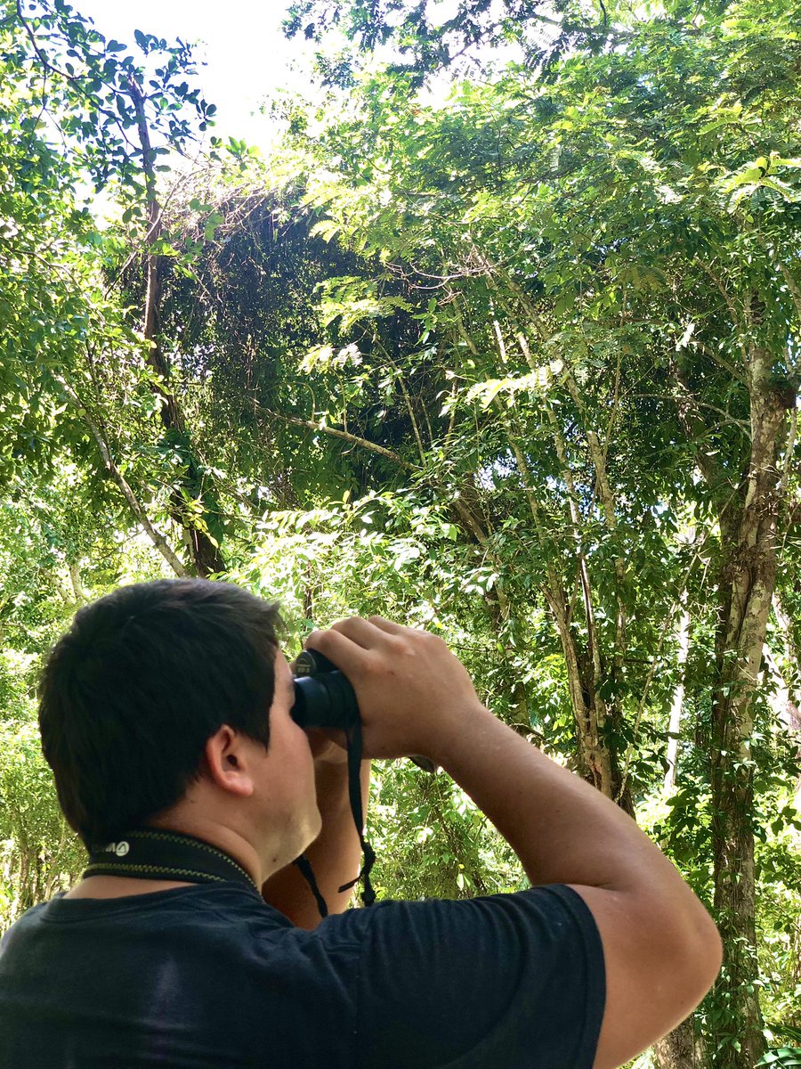 belizemonkey's tweet photo. Looking forward to hosting you on your next birding adventure.

https://t.co/mWj96GLy6c

#Belize #birding https://t.co/750sf4TKXR