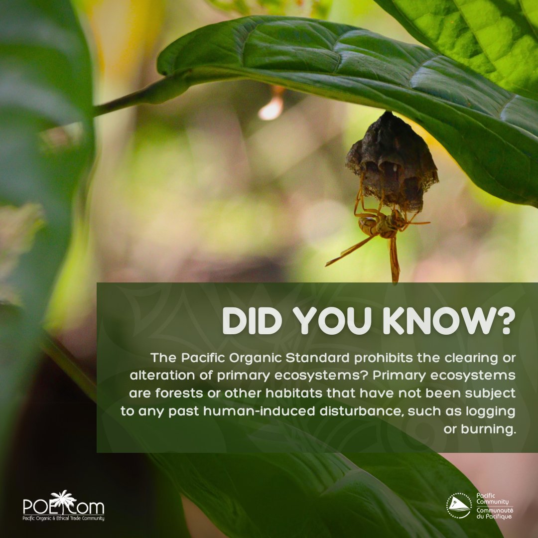 PoetCom1's tweet photo. 🐝🌱The Pacific #Organic Standard is provided with training from @PoetCom1 to farmers & farmer groups interested in attaining #ParticipatoryGuaranteeSystem Certification that will allow them to trade in regional & unregulated markets.
#Biodiversity #PacificOrganicStandard https://t.co/wf0kyAXpDR