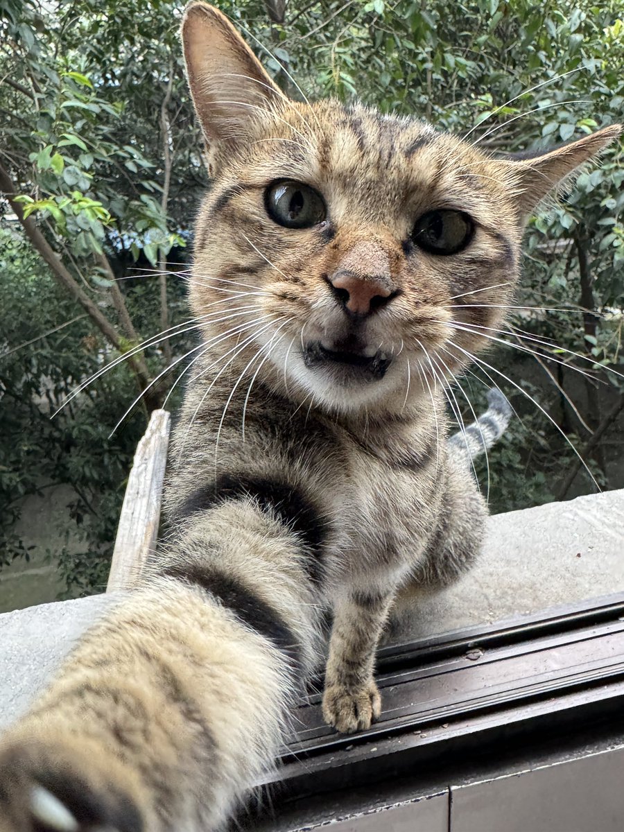 selfie https://t.co/XcGELKNcxU