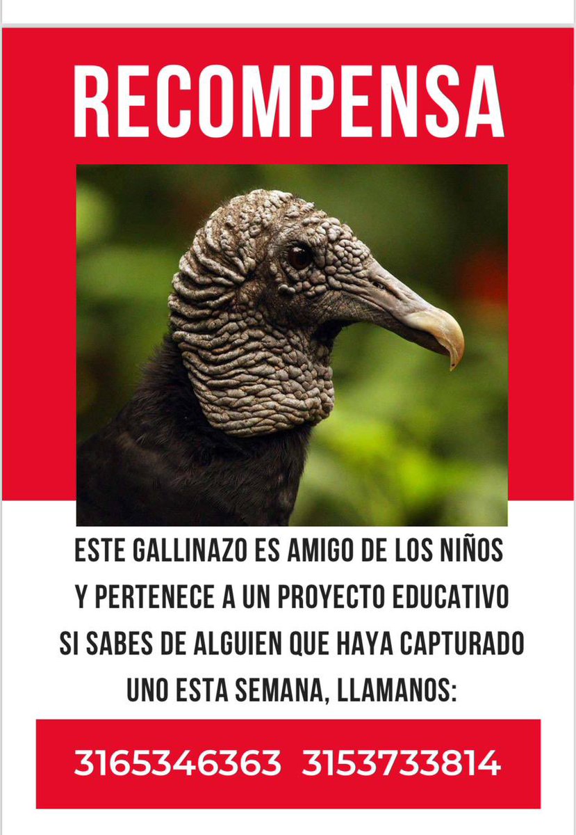 Aviso social: Ayúdanos a encontrarlo, cualquier información al 316 534 6363 / 315 373 3814.