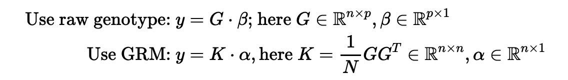 doubleTaoTan's tweet photo. @KaiYuan1990 Just some raw thoughts: 
PRS is modeling the joint effect size for each genetic marker, which is very high-dimensional. The kernel method says this linear model is identical to using a similarity matrix K (or GRM) as the predictor. This is called "duality". The benefit, as https://t.co/s7rlmC6JCS