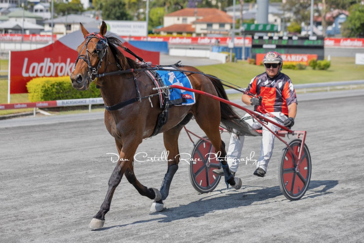 DanRacingWrap's tweet photo. Aldebaran Fonz breaks through for his 1st win in the 2nd of the trotters race 3 @TheCreekAlbion for @VeiversRyan https://t.co/KRPowMqmXe