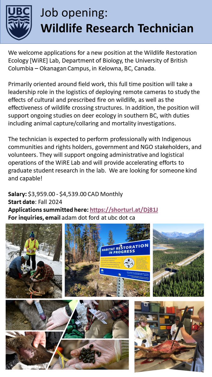 📢New full time **wildlife** job opportunity available at the #WiRELab, based at UBC Okanagan 🇨🇦!

Please share:
ubc.wd10.myworkdayjobs.com/en-US/ubcstaff…