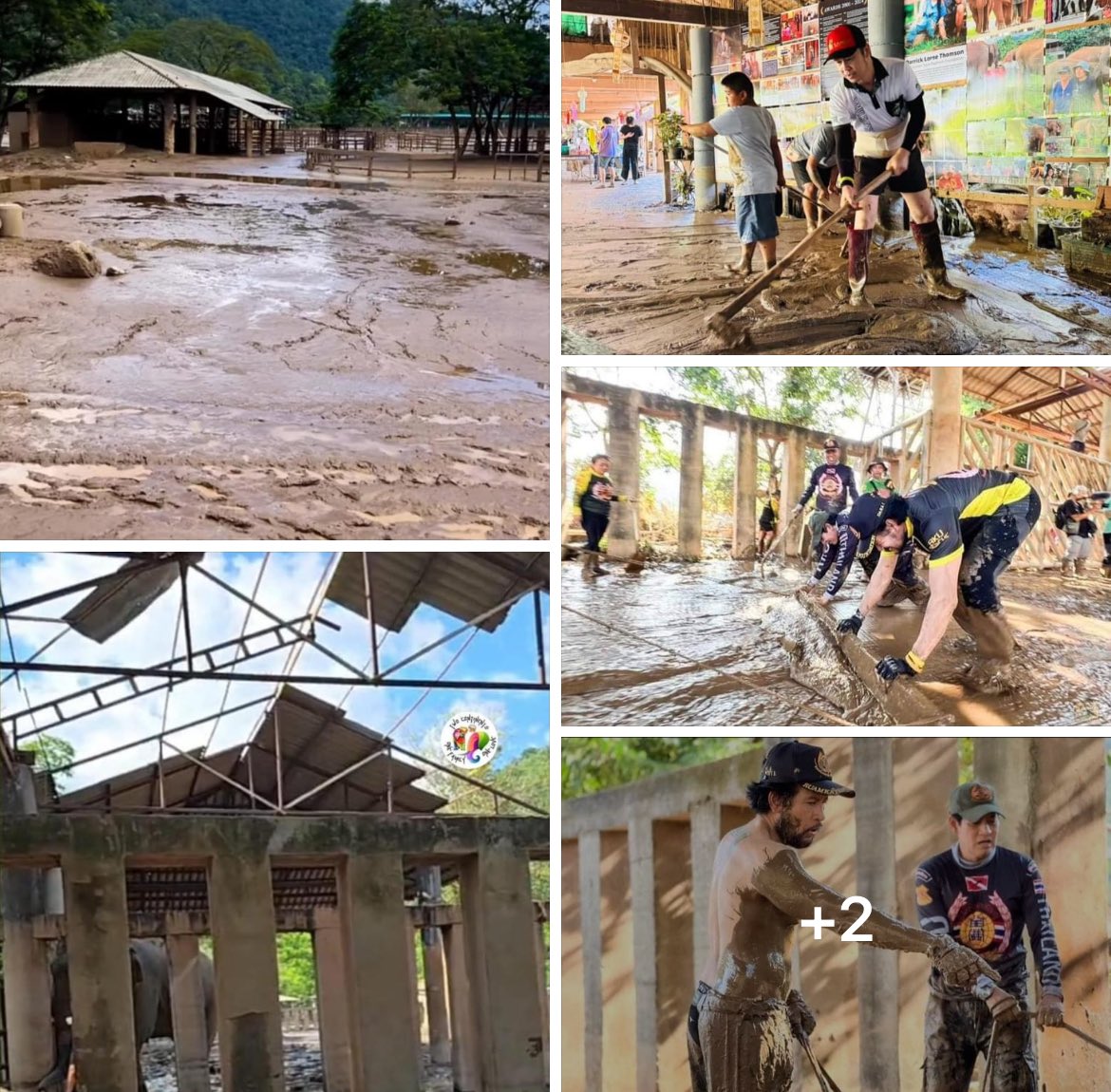 Lucy crew tweet media