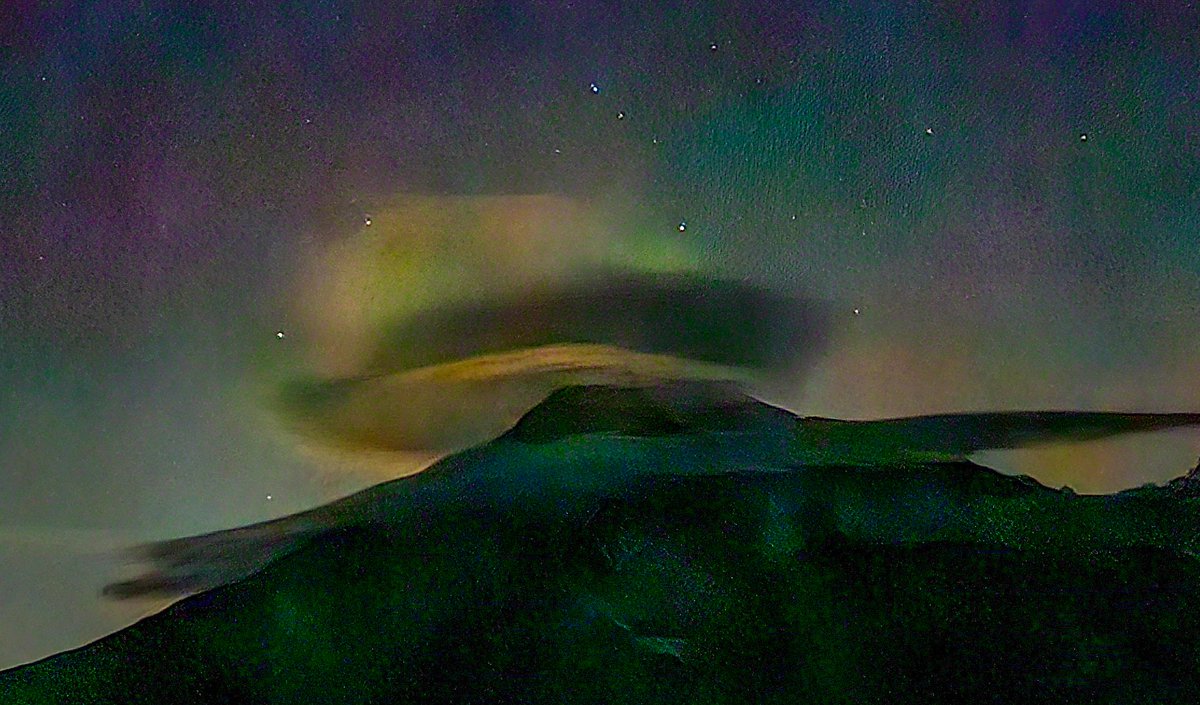 Michael Snyder tweet media