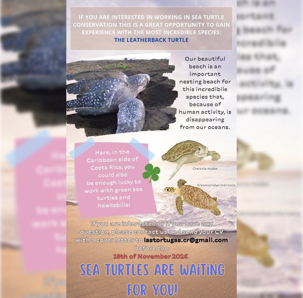 Gloria Murari tweet media