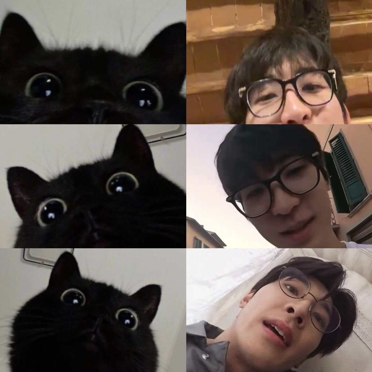 i see a black cat i think of wonwoo