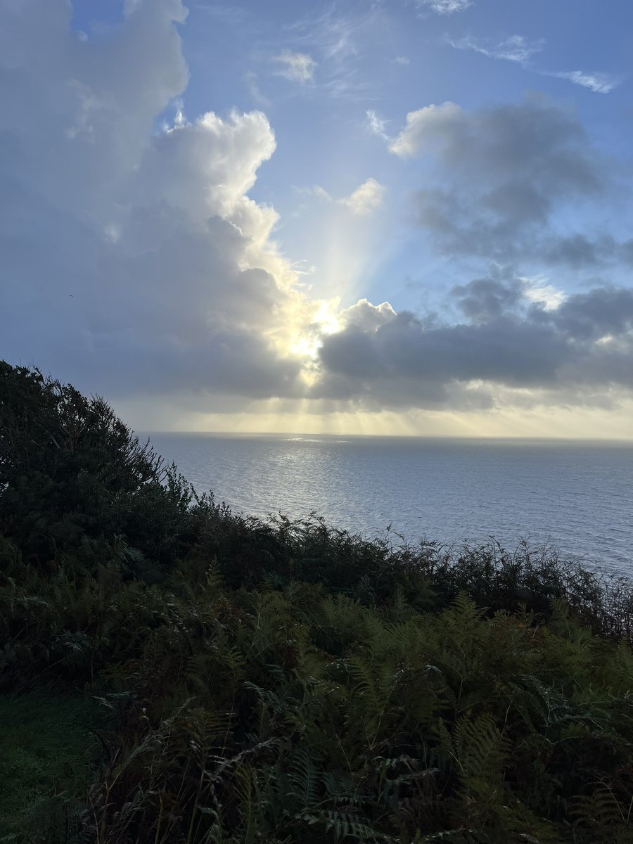 When you escape to the coast for a few days. Our early morning walk today 🥾🐕🌦️