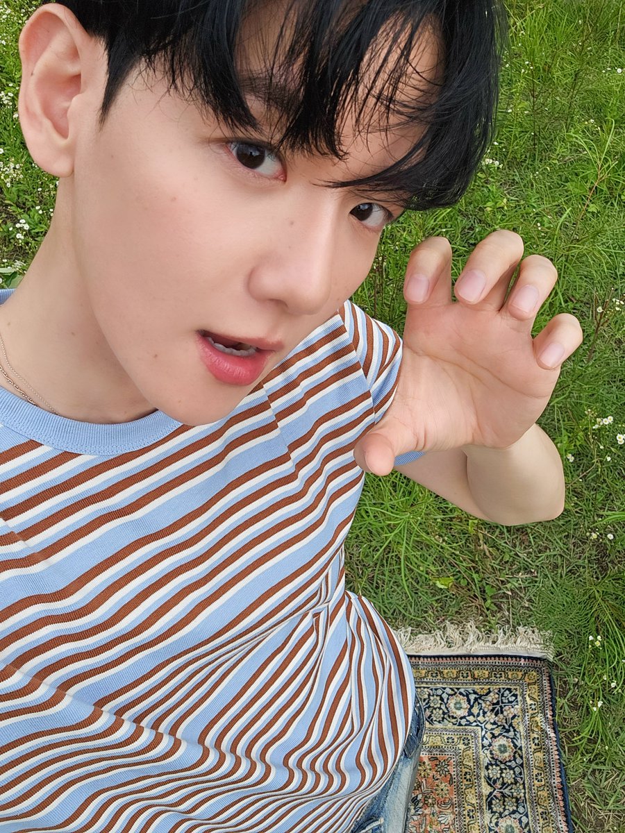 qtpiebyunbaek's tweet photo. 🍃🩵 #BAEKHYUN @B_Hundred_hyun https://t.co/ZR6ElAXT6J