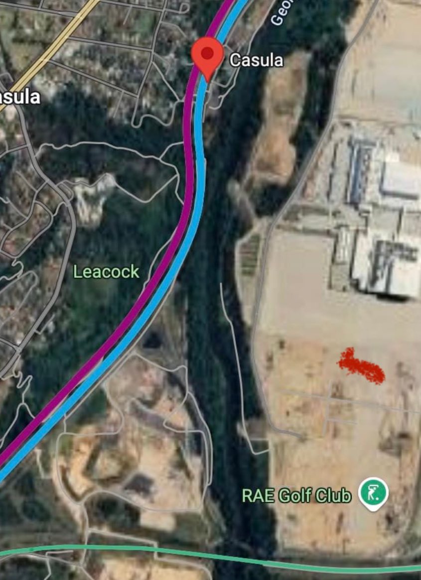 Sydney Basin Koala Network tweet media