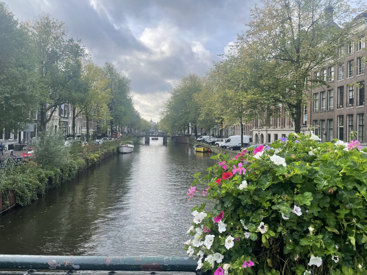 CharlieHu tweet media