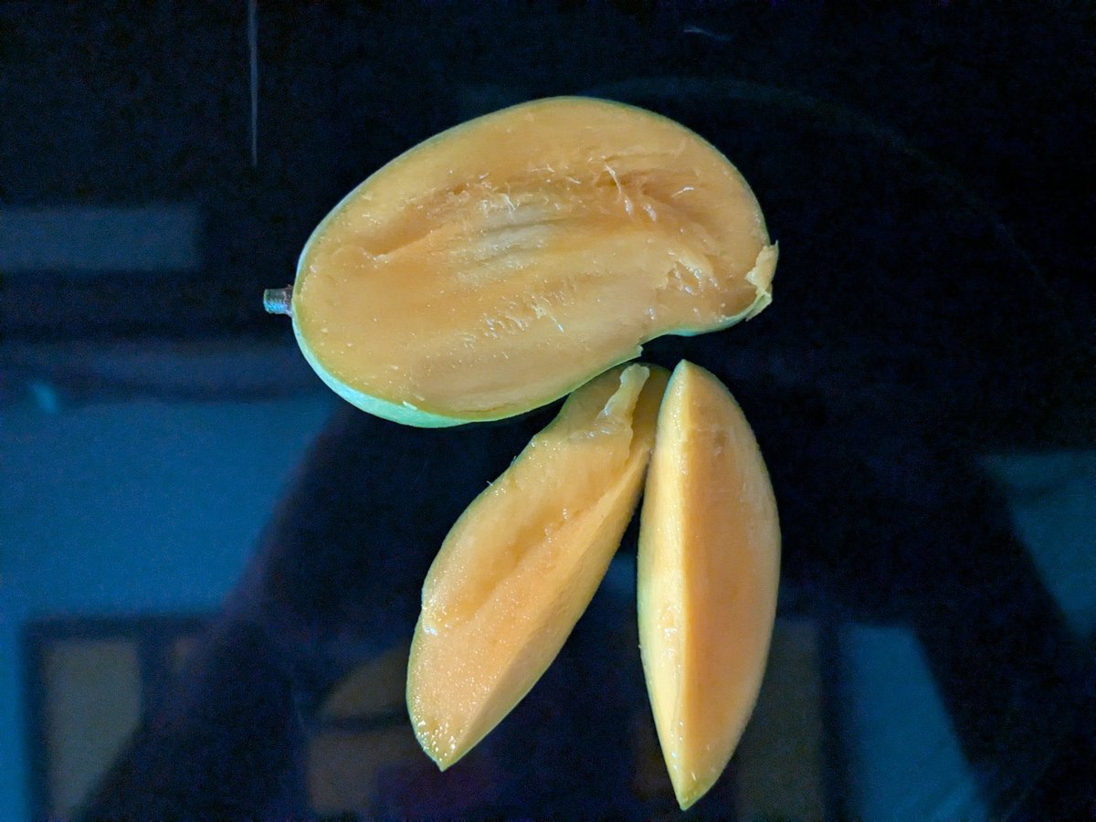 @CoffinItUp You have blue Java mangos and banana trees. I know ‘exactly ...
