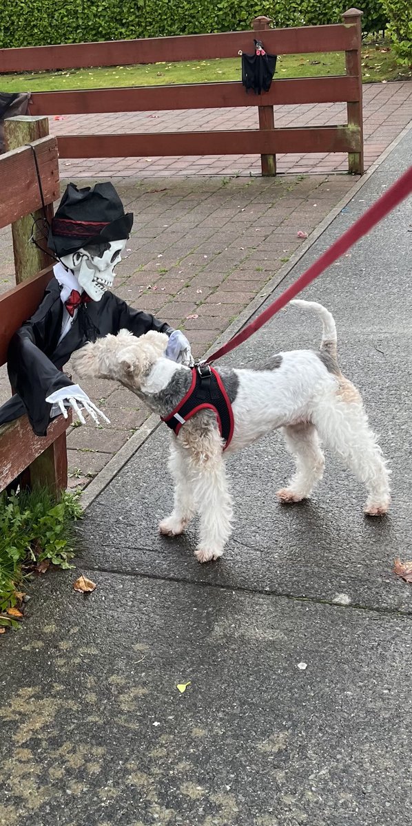 I love me rubs. Don’t care from who. 👻