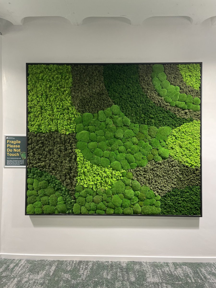 University of Bradford tweet media