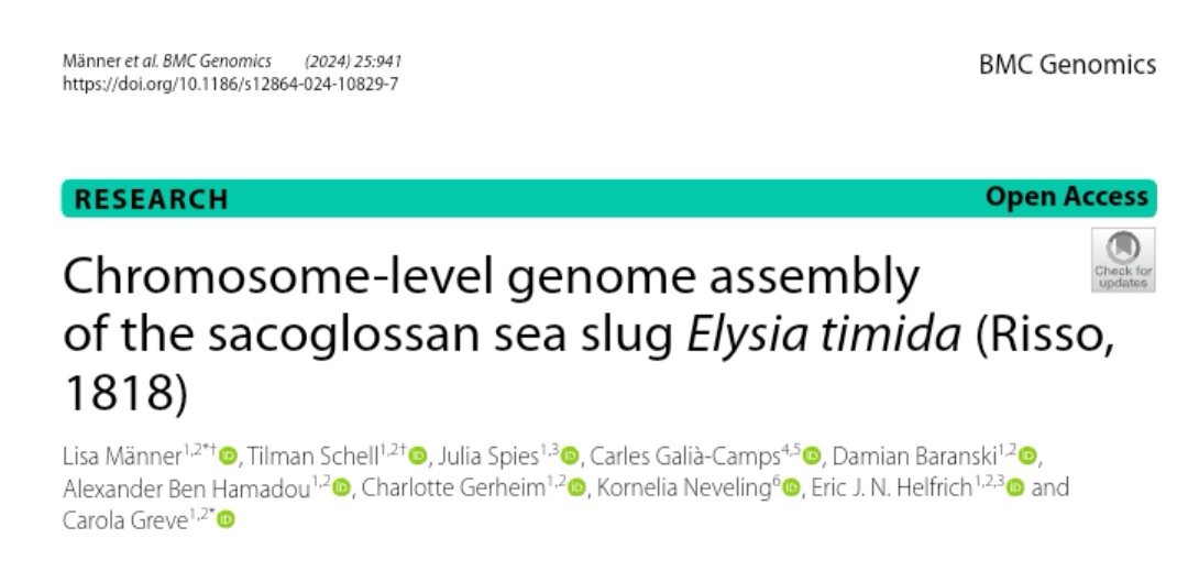 Dr. Lisa Männer (@lisamnner) on Twitter photo Paper party!🥳🙌🏻 Our paper on the chromosome-level genome assembly of Elysia timida is published! Thanks to all my co-authors, @CarolaGreve, <a href="/GaliaCampsOmics/">Carles Galià Camps</a>, Tilman, Alex, Charlotte, Damian, Julia, Eric & Kornelia!🎉
<a href="/LOEWE_TBG/">LOEWE Centre Translational Biodiversity Genomics</a> <a href="/Senckenberg/">SENCKENBERG</a> <a href="/BioMedCentral/">BMC</a> rdcu.be/dWku3 Paper party!🥳🙌🏻 Our paper on the chromosome-level genome assembly of Elysia timida is published! Thanks to all my co-authors, @CarolaGreve, <a href="/GaliaCampsOmics/">Carles Galià Camps</a>, Tilman, Alex, Charlotte, Damian, Julia, Eric & Kornelia!🎉
<a href="/LOEWE_TBG/">LOEWE Centre Translational Biodiversity Genomics</a> <a href="/Senckenberg/">SENCKENBERG</a> <a href="/BioMedCentral/">BMC</a> rdcu.be/dWku3