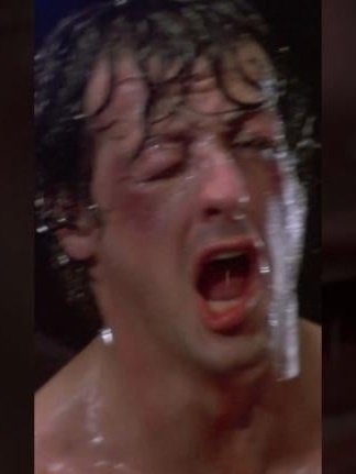 MrTibblesNewEra tweet media