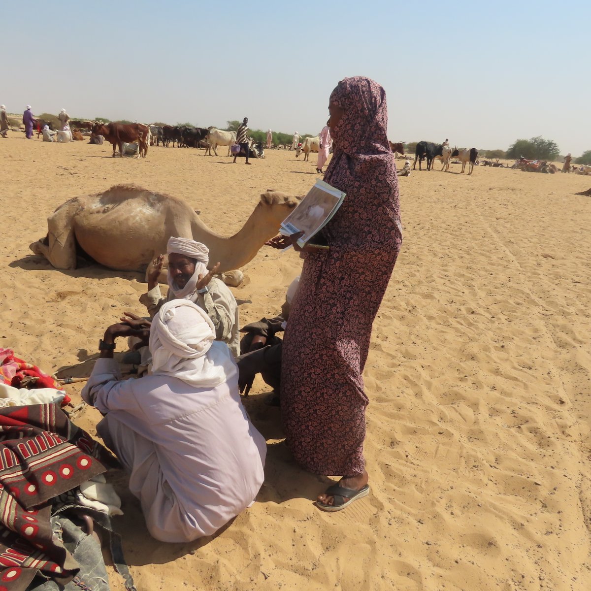 Sahara Conservation tweet media