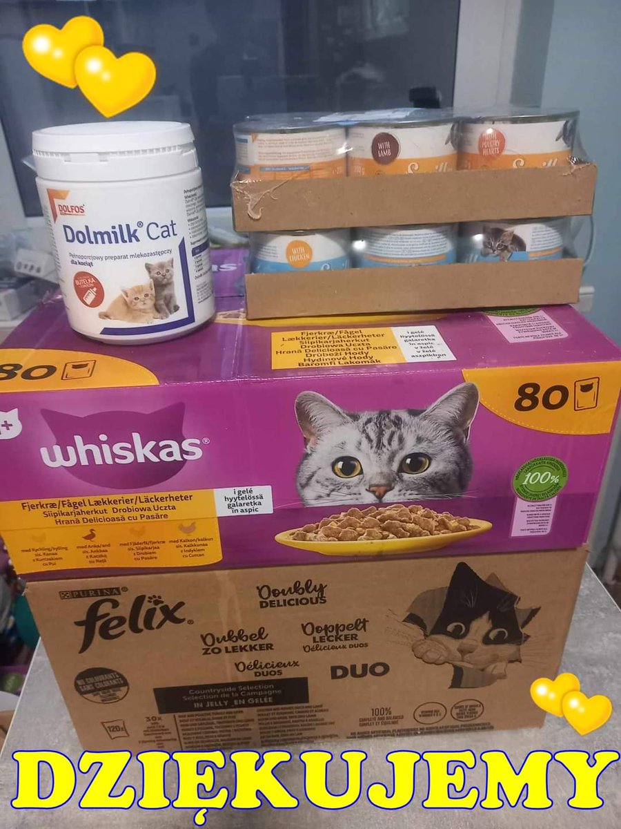 Dobre Serduszko (@malborkanimals) on Twitter photo 