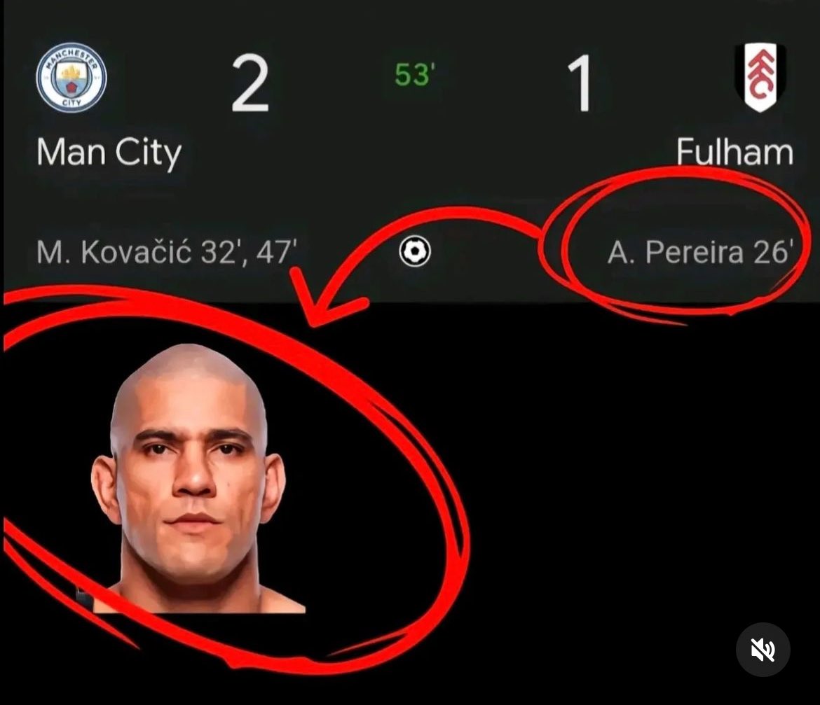 bros everywhere