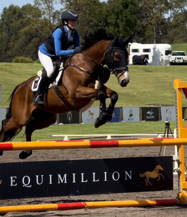 ジャパノズ厩舎所属でレースに出走した際に心不整脈を発症し、競走中止となったものの命は取り留めたアメリカンファラオ産駒のファラオシティ。しかし、競走馬としての復帰は難しく、引退することになりました。そんなファラオシティを引き取ることに興味を持ってくれたのは、当時高校生の女の子でした