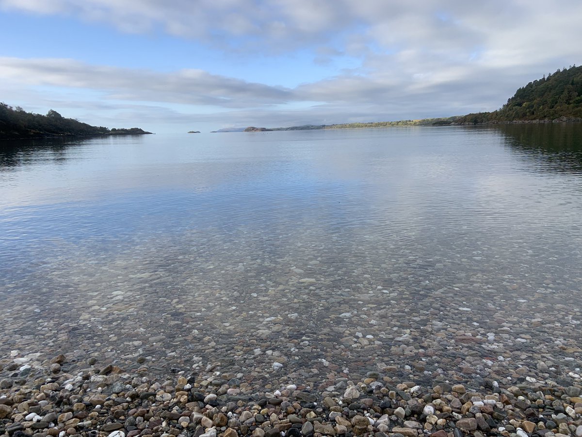 DenisRobson2's tweet photo. Memorable short day kayaking on Loch Linnhe with a visit to Castle Stalker. Been on my paddling list for years. #argyllsecretcoast #kayakingadventures @wildaboutargyll https://t.co/V9siFei4PD