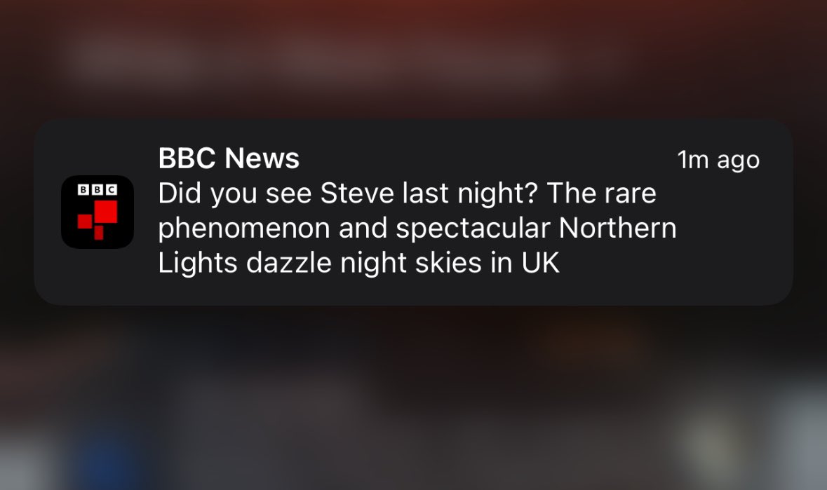 Everyone called Steve both buzzing and terrified in equal measure rn