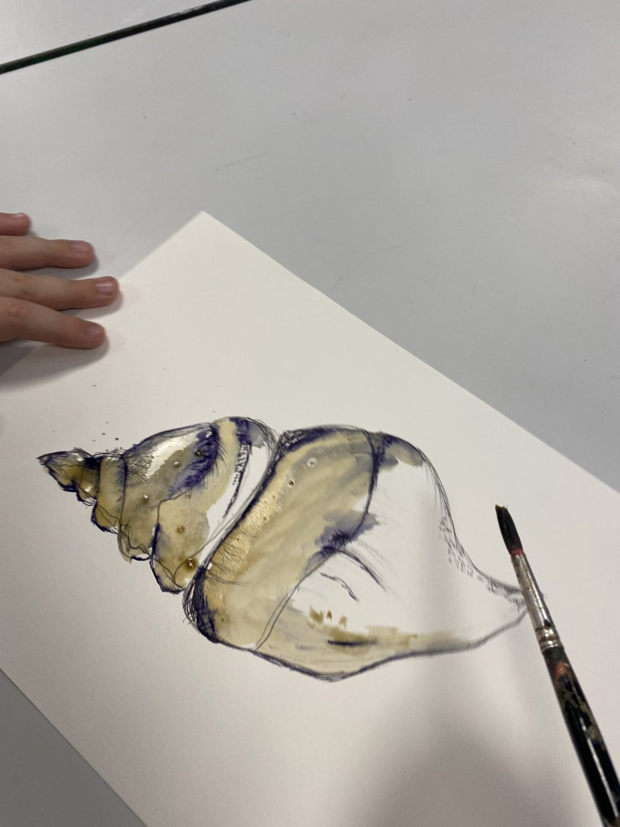 Superb mixed media shell drawings created by year 8 this morning. Layering pencil continuous line with biro mark-making, fineliner tones and coffee washes! Lovely! 🐚