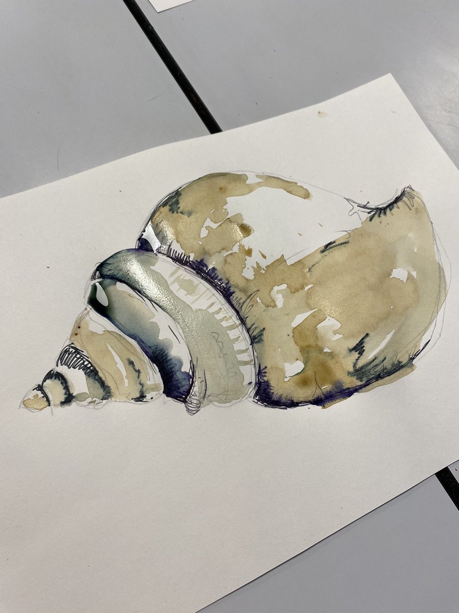 SRA_Art_'s tweet photo. Superb mixed media shell drawings created by year 8 this morning. Layering pencil continuous line with biro mark-making, fineliner tones and coffee washes! Lovely! 🐚 https://t.co/jn9VBG4C2D