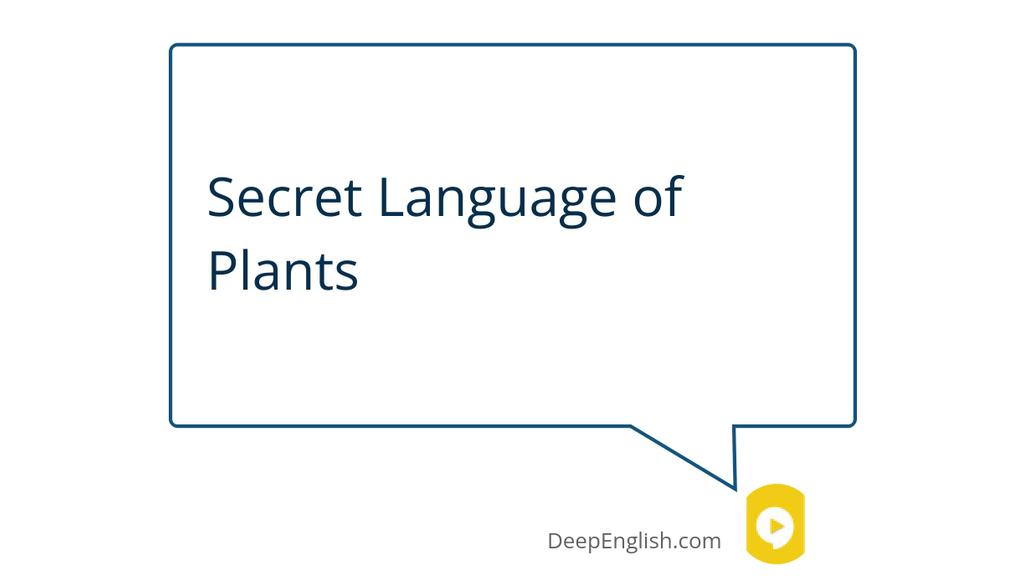 Deep_English's tweet photo. In one study, plants that were played Mozart were healthier and grew faster than plants that were played Jimi Hendrix.

Learn more 👉 https://t.co/PzYwb3teMg

#FamousBook #SecretLife #ResearchStudy #JimiHendrix #PlantIntelligence #PlantCommunication https://t.co/gnBjva1CSb