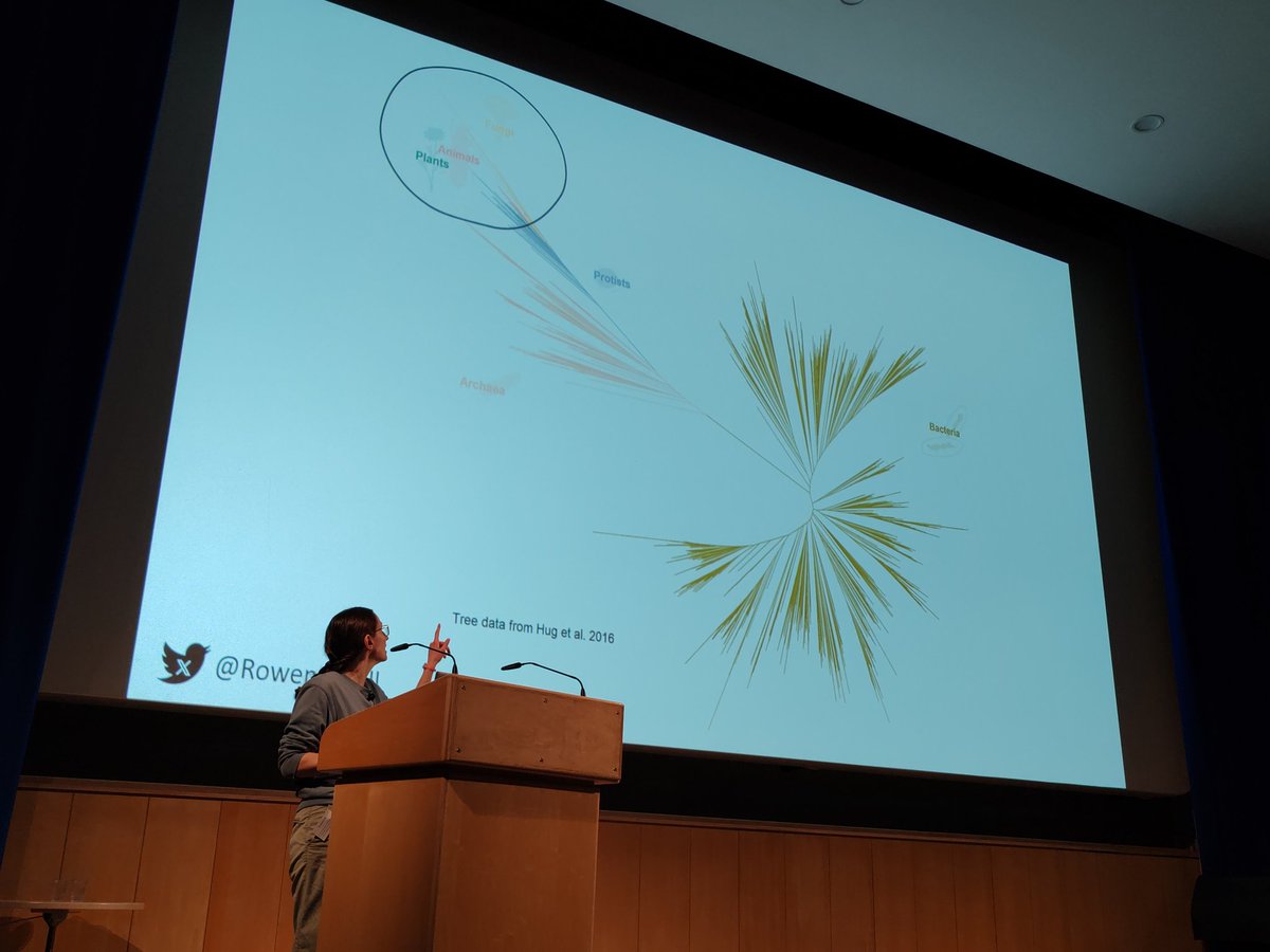 RSSV_JIC's tweet photo. @AnneOsbourn1 @JohnInnesCentre Now Rowena Hill from @EarlhamInst is telling us about the hidden world of fungi https://t.co/k8l2axHqQ0