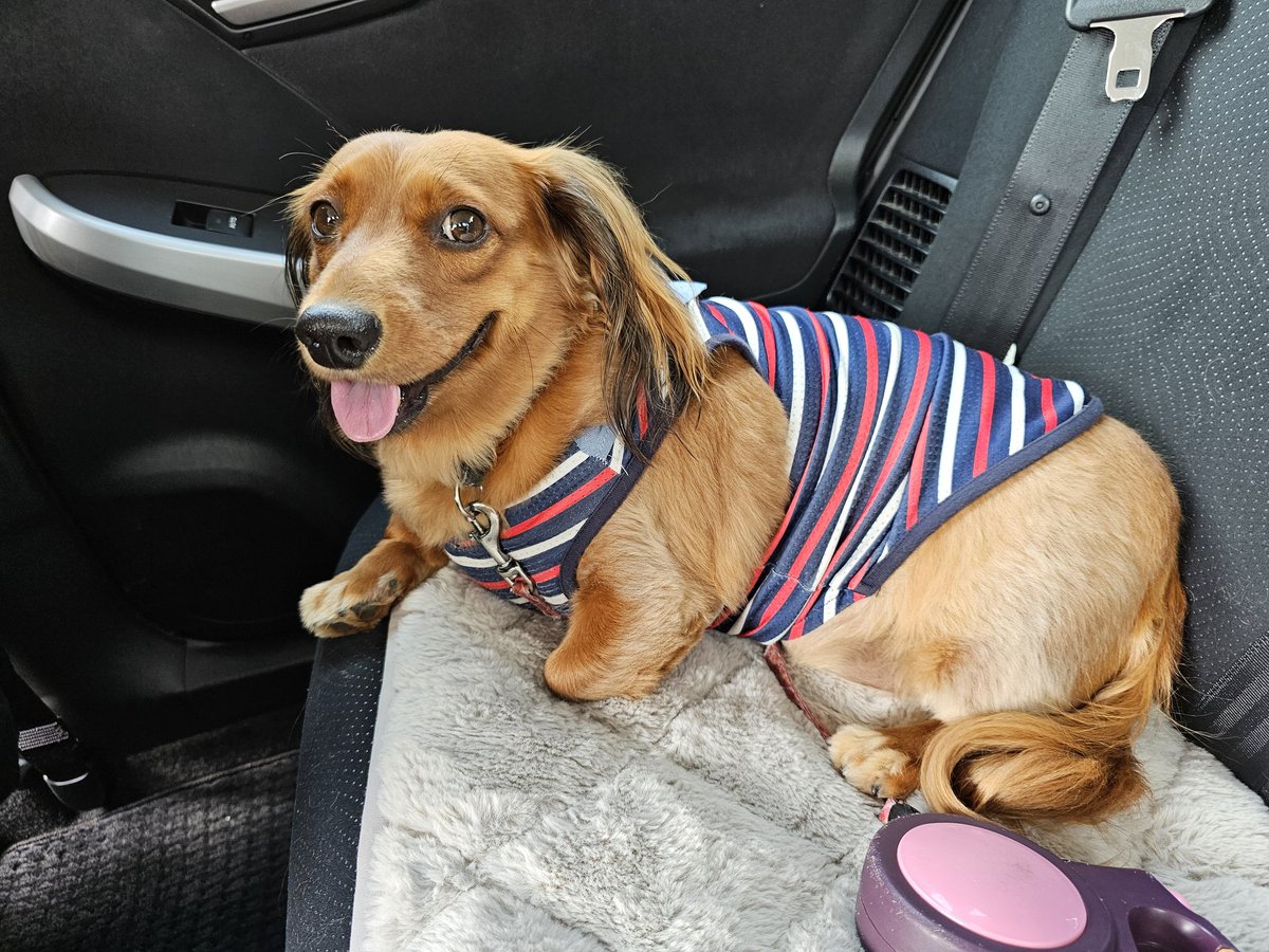 認知症の母の面倒を(同居してるので)毎日してて、慣れないからかストレスを感じてしまい、耳の詰まりと耳鳴り、頭痛もひどくて吐き気があり、金曜日から仕事が出来ていない。。。
夜も寝れず、昼間に眠くなる笑

せめて耳鳴りだけでもなくなってほしいなぁ。

私の癒し🐶💞