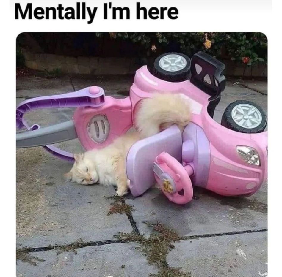 WholesomeMeme's tweet photo. https://t.co/thjKcO9r8t