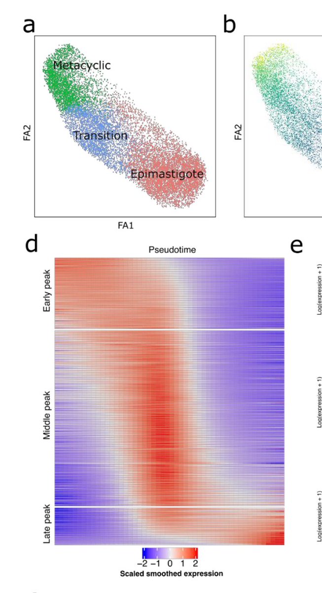 Thomas D. Otto tweet media