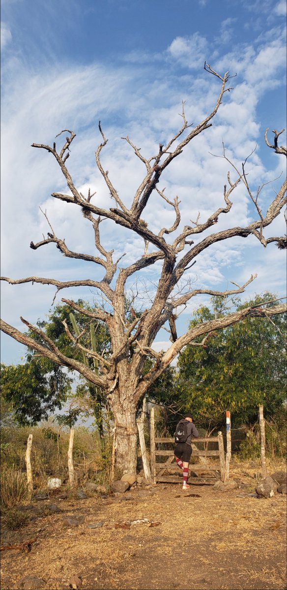 Dejar que mueran algunas cosas, para dar paso a otras... parece ser lo "natural"
