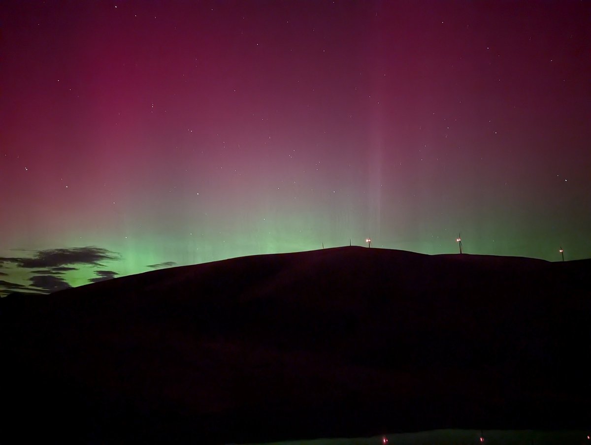 IrishViking tweet media