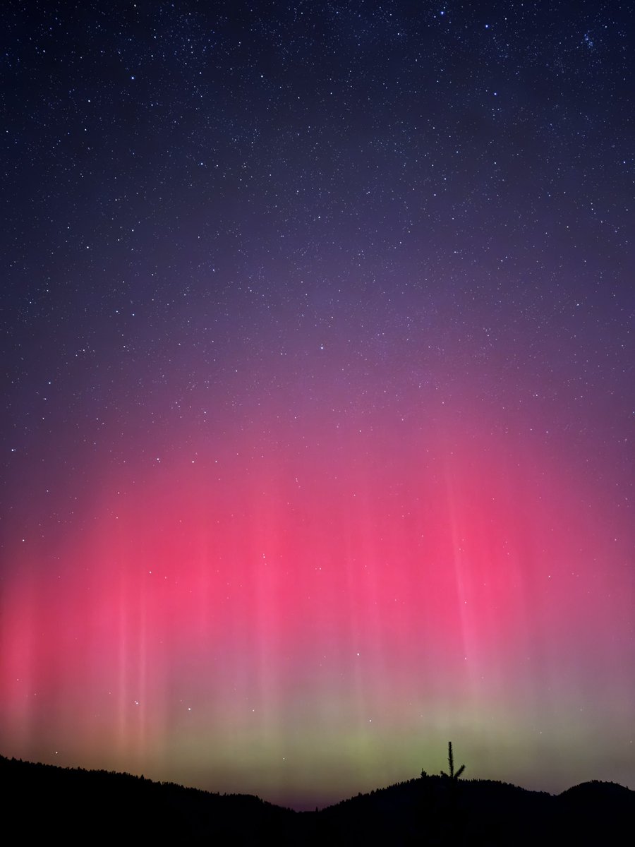 Mitch Reid tweet media