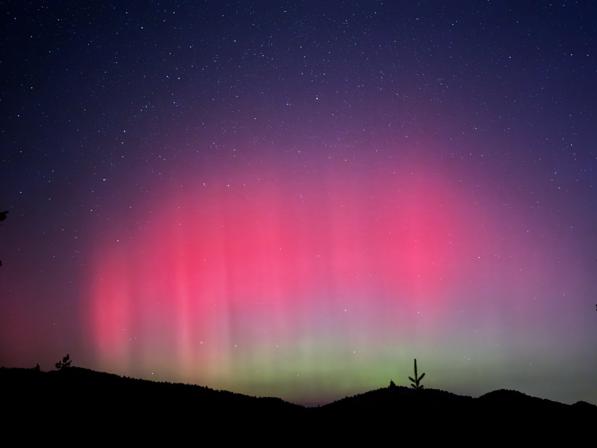 Mitch Reid tweet media