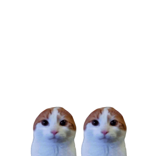 detraderSol's tweet photo. @KookCapitalLLC the cat has copied

CA: qriANWB3NHrsEBXwYbkkNFaZUMf9K1ef4HZ5Xg4pump https://t.co/rJ5Fyt9M9I