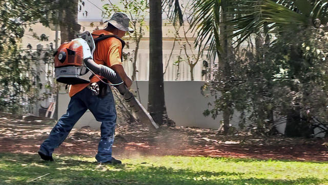 dark_web24's tweet image. Baltimore City Council votes to ban gas-powered leaf blowers, marking a significant step toward a greener city! Read more about this groundbreaking legislation. surl.li/maucwd

#Baltimore #LeafBlowerBan #EnvironmentalNews #CleanAir #Sustainability