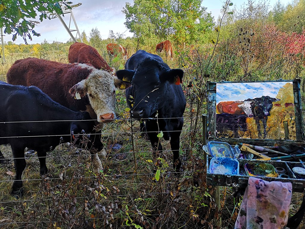ChrisBilton3's tweet photo. #cows #bostaurus #heard #bovid #livestock #meat #herd #acrylicpainting #pleinairpainting #artinsouthyorkshire #paintingoutside #directobservation #southyorkshire #biltonart #opencountry #allaprima #clarifiedimpressionism #expressiverealism #pleinair https://t.co/9l0J3SwXrw https://t.co/B5oWhaK9H6