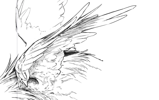 生き物全般描くの苦手過ぎて、ギリこれが鳥だとわかればいいぐらいの諦観の念