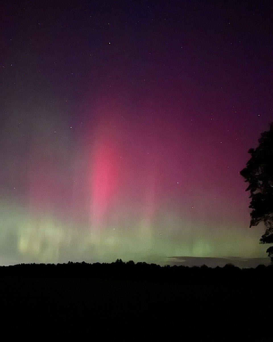 This is absolutely insane. 🤯 Northern Lights shining bright in Southern Ontario. So beautiful. ✨🌌

Captured on my #iPhone in 📍 Chatham-Kent.