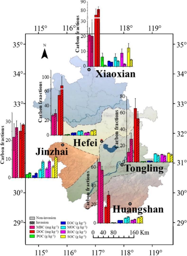 This nice paper by Jiaoyang Zhang and others (incl. me) show that fungal keystone taxa are responsible for community resistance against Solidago canadensis invasion by resisting change thereby controlling stable SOC fractions. doi.org/10.1016/j.scit…