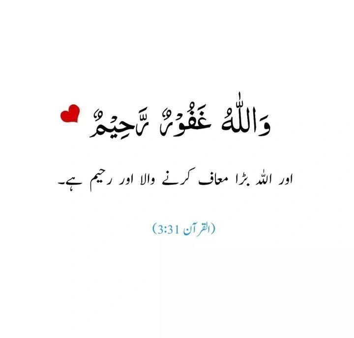 Hassan Iftikhar Rajput tweet media